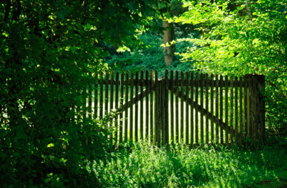 terapia psicológica
